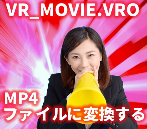 VR_MOVIE.VROファイル