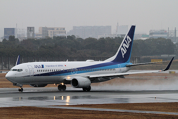 ANA 737-800（JA80AN）