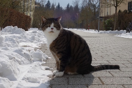 3_201802270644307ce.jpg