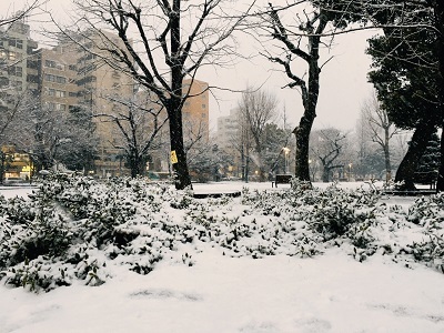 錦糸町も雪