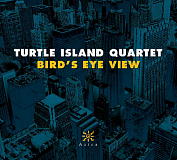 turtle_island_quartet_birds_eye_view_160.jpg