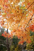 pic20171105_a08