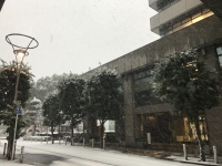 雪の区議会棟前