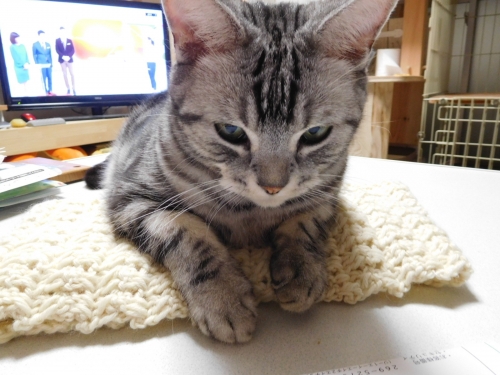 DSCN8123.jpg