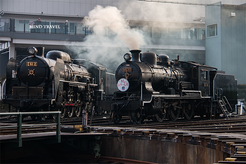 京都鉄道博物館　扇形車庫と蒸気機関車