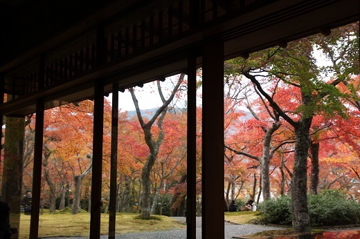茶室「真和亭」からの苔庭の紅葉１