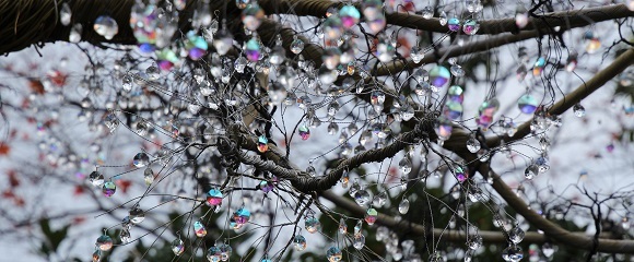 箱根ガラスの森美術館のクリスタルツリー