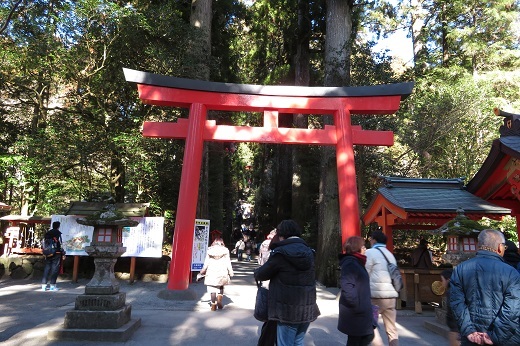 箱根神社の石段下の赤鳥居
