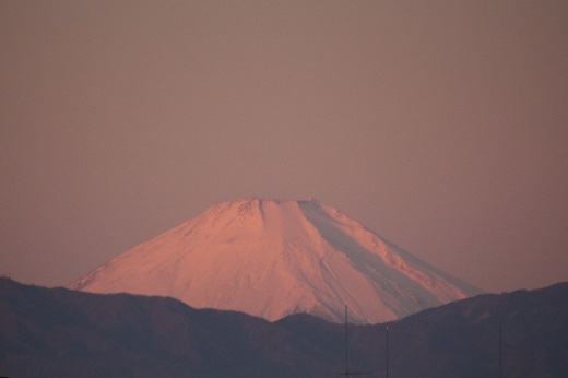 朝日が当たってピンク色に染まった赤富士
