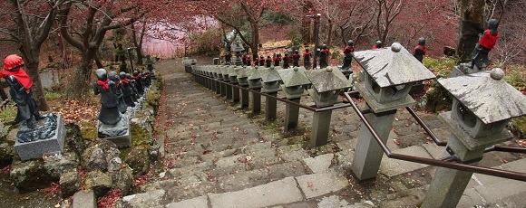 大山寺への急な石段を上から眺める