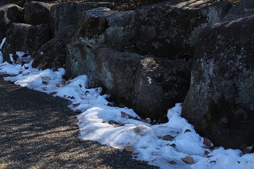 梅林の岩陰に残る雪