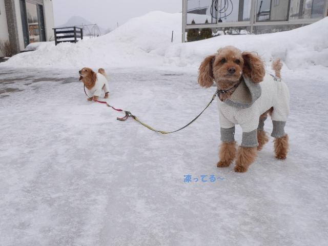スケートで着るみたいな氷