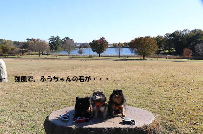 0A1A7498-317644.jpg