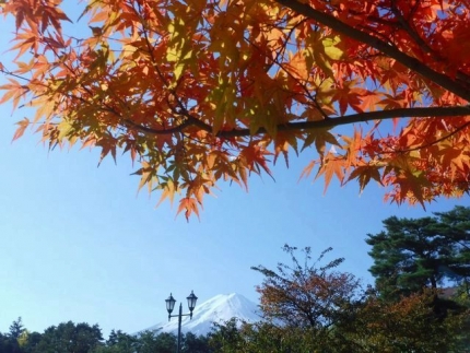 20171027-2-大池公園富士山と紅葉.JPG