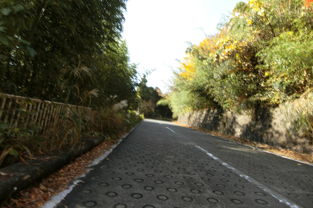CIMG2564.jpg