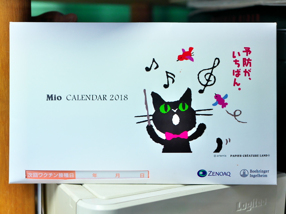 ネコ 今年初の定期検診と黒猫のカレンダー ほびつぶ