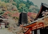 19911118　談山神社　 (448x320)