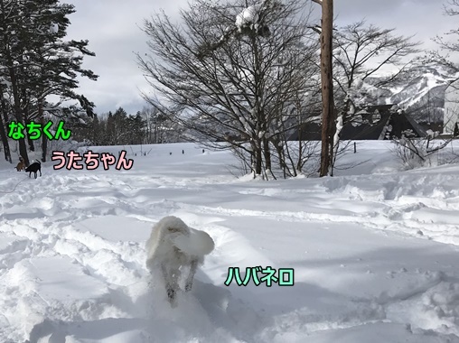 変換雪遊び5編集