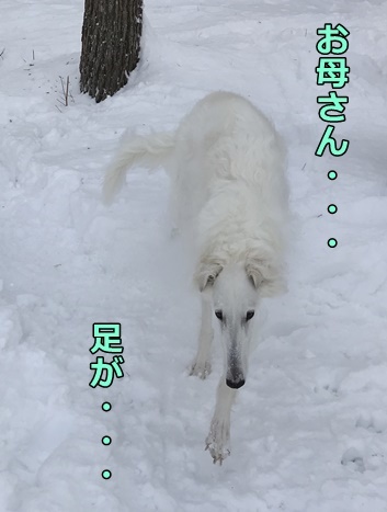 変換雪遊び14編集