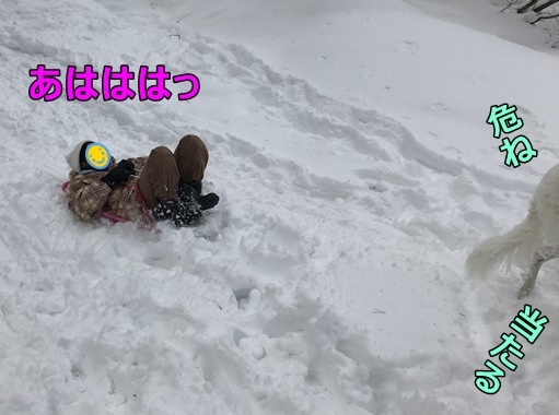 変換雪遊び37編集