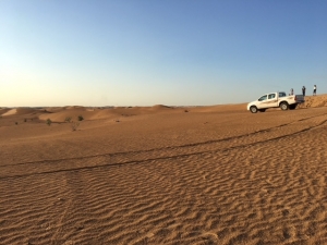 砂漠景色車