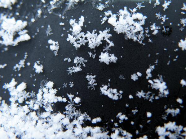 車のフロントガラス　雪の結晶見える～