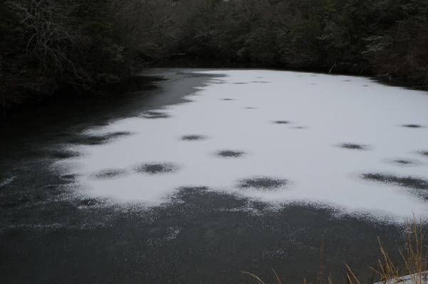 氷の張った池の上に雪