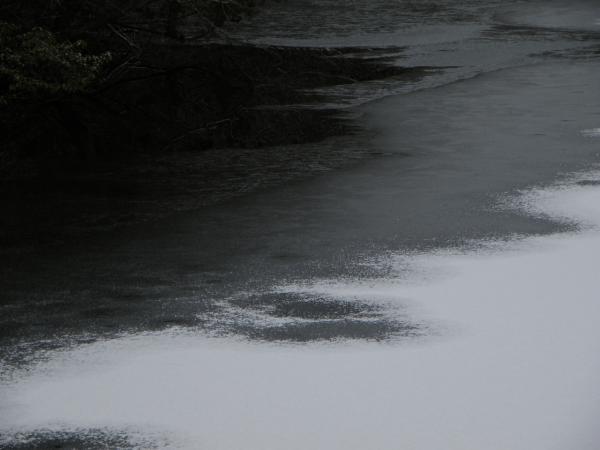 氷張った池の端の方