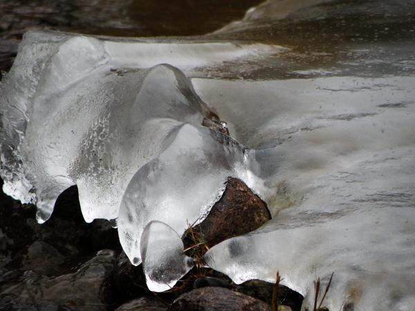 公園の滝の向かいにある小島にできた氷