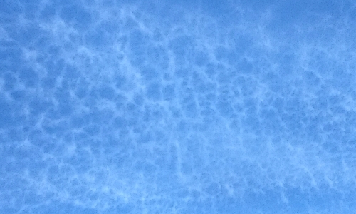 蜂の巣状雲